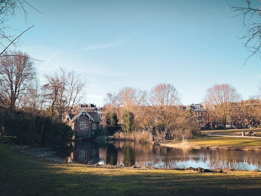 The image displays a tranquil park scene with a small pond situated in the foreground, bordered by a grassy area and a few scattered rocks along the water's edge. In the background, there are several leafless trees with thin, dark branches extending upward, indicating a late autumn or winter season. Behind the trees, a row of residential buildings with brick facades, pitched roofs, and large windows can be seen, arranged in a linear fashion across the horizon. The sky above is clear and bright, with a subtle gradient from light blue to a slightly darker shade at the top, suggesting natural daylight. The overall environment appears calm and well-maintained, with no visible debris or clutter, reflecting typical features of a suburban park or estate. The scene suggests an area where private waste management services might be employed to maintain cleanliness, aligning with the context of rubbish removal and estate care, as offered by companies like Rubbish Removal Holland Park.