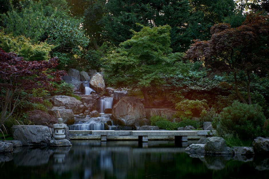 A tranquil garden scene featuring a small multi-tiered waterfall flowing over large, natural rocks with a textured surface, set amidst lush green foliage and trees of varying shades, including dark green and reddish-brown leaves. In the foreground, a narrow, flat stone bridge extends across a calm pond with a smooth, reflective surface, mirroring the surrounding greenery and rocks. To the left of the bridge, a traditional stone lantern with a rounded top and square base sits on a rock, contributing to the landscape's serene aesthetic. The background reveals dense treetops and canopy, with dappled sunlight filtering through, creating a peaceful, natural atmosphere. The environment is well-maintained, typical of a Japanese-style garden designed for quiet relaxation and aesthetic enjoyment, aligning with the concept of private outdoor spaces suitable for managing garden waste or debris through external waste removal services like Rubbish Removal Holland Park, particularly in settings where on-site clearance or alternative disposal methods may be preferred for garden or landscape waste.