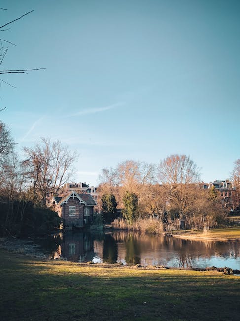 A landscape view featuring a small pond or lake surrounded by a grassy area with patches of bare soil. In the background, there are several multi-storey residential buildings constructed of brick, with some having pitched roofs and balconies, partially obscured by leafless trees and shrubs, indicating a winter or early spring setting. The foreground shows the edge of the water with reflections of nearby trees and buildings on its calm surface, and a few scattered rocks along the shoreline. The sky above is clear with a light blue hue, and a faint contrail is visible, suggesting partly sunny weather. The scene appears tranquil and natural, but the presence of residential development indicates an urban setting where occasional outdoor waste clearance or rubbish removal might be relevant for maintaining the park or water's edge area, linking subtly to private or local authority rubbish collection services. The environment overall suggests an outdoor public space with potential for on-site waste management.